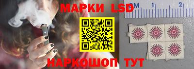 спайс Гатчина
