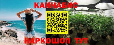 спайс Гатчина