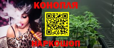 спайс Гатчина
