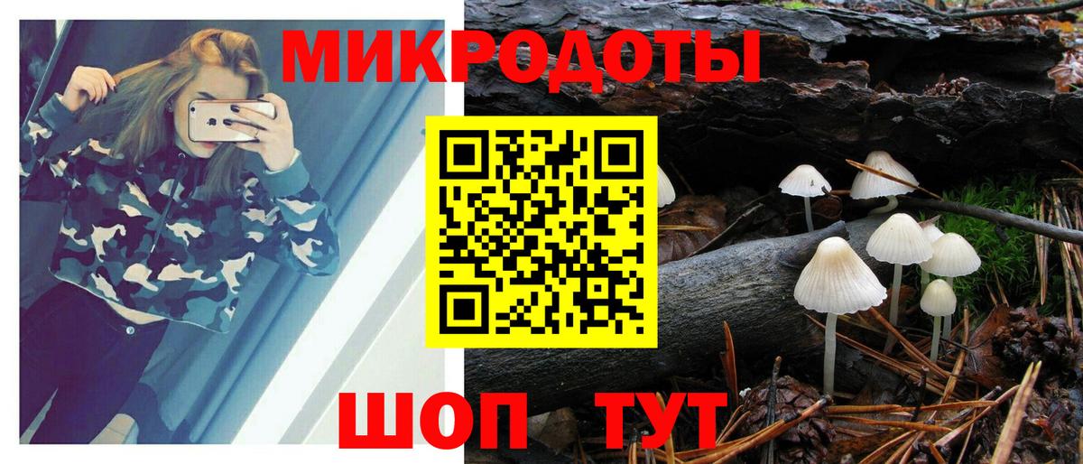 Муравленко  Псилоцибиновые грибы Psilocybine cubensis  Вход с VPN 